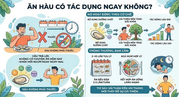 Hàu có tăng sinh lý không?