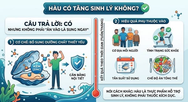 Hàu có tăng sinh lý không?