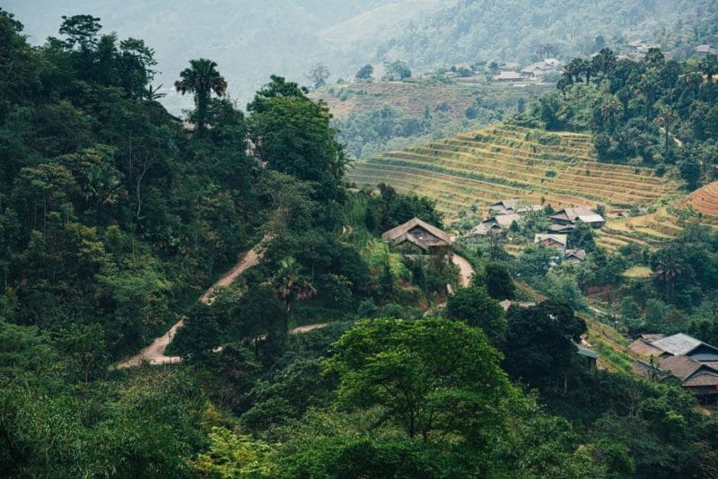 Kháu Vài Lèng Hà Giang: Nguồn Gốc, Công Dụng Và Địa Chỉ Mua Chính Hãng Từ Lương Y Mạc Văn Minh